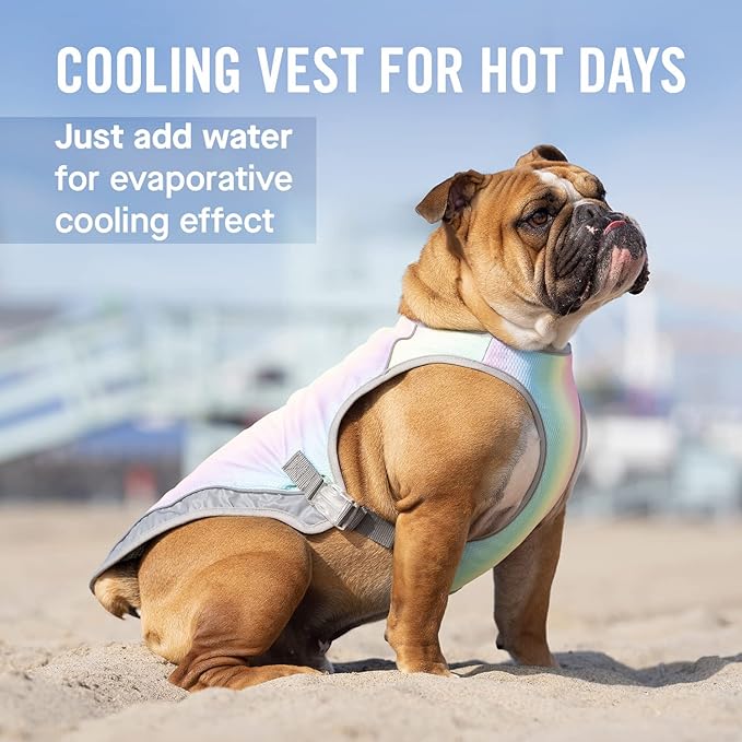 Canada Pooch Dog Cooling Vest - Evaporative Cooling Vest for Dogs with Breathable Mesh Material & Reflective Lining, Adjustable Dog Cooling Vest Great for Dogs 20 (19-21" Back Length), Rainbow