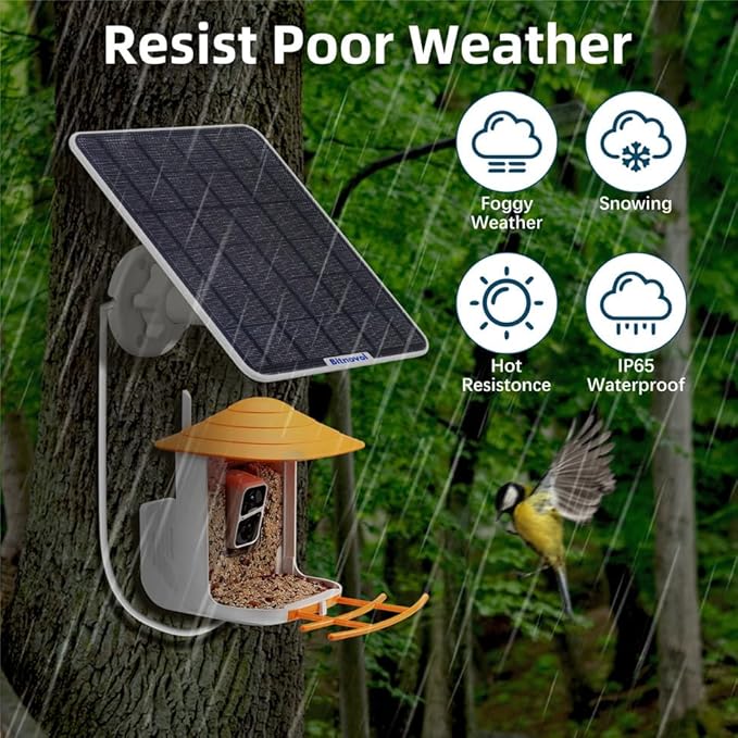 8W Solar Panel for Bird Feeder Camera - USB C Solar Panels Charger Compatible with Rechargeable Security Camera Wireless Outdoor,Ring Solar Panel with IP65 USB DC Port,9.8ft Cable 360° Swivel Bracket