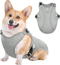 Kuoser Dog Cooling Vest, Pet Cooler Coat, Breathable Doggie Cool Jackets for Medium Dogs, Reflective Cooling Harness, Puppy Summer Essentials Grey L