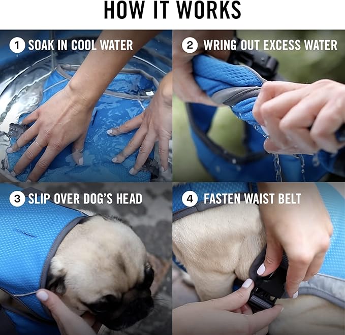 Canada Pooch Dog Cooling Vest - Evaporative Cooling Vest for Dogs with Breathable Mesh Material & Reflective Lining, Adjustable Dog Cooling Vest (32 (31-33" Back Length), Aqua)