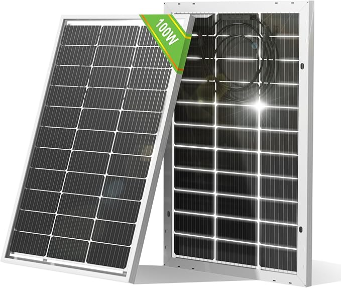 ECO-WORTHY Bifacial 100 Watt 12 Volt Solar Panel Monocrystalline Rigid High-Efficiency PV Module Power Charger for Sunsheds, Canopies, RVs, Farms and Other Off-Grid Applications