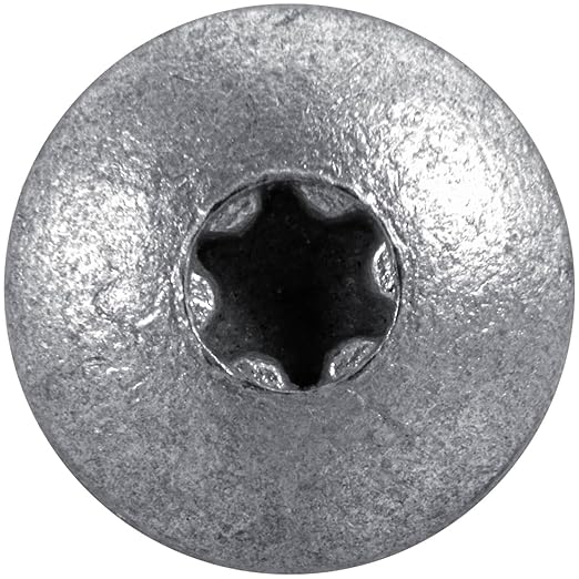 10 X 1 NO Paint - Low Profile ~250 Screws