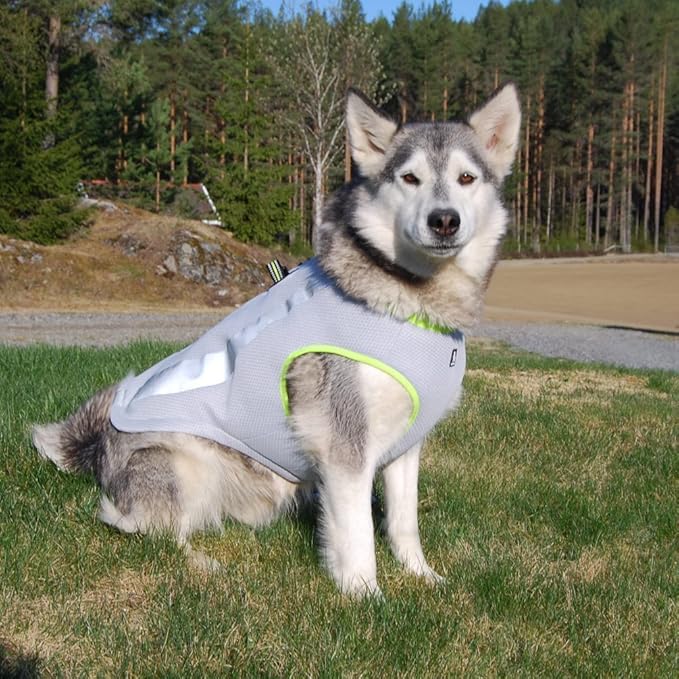 SGODA Dog Cooling Vest Harness Cooler Jacket Grey Orange Small