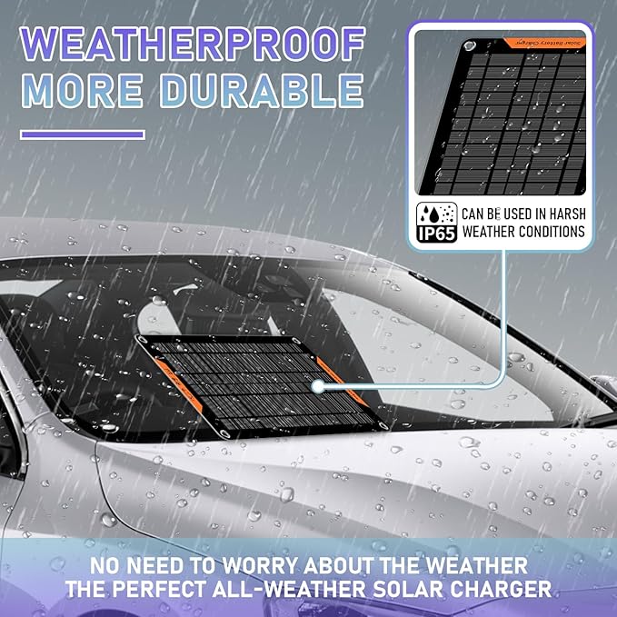 12 Volt 10 Watt Solar Car Battery Charger & Maintainer, Solar Panel Trickle Charger, with Alligator Clip& Cigarette Lighter PlugAdapter for Car, Boat, Automotive, Motorcycle, RV