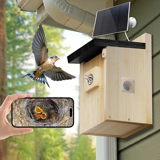 Solar Bird House with Camera, 1080P HD Wooden Smart Birdnest Solar Powered, Watch Birds Nesting & Hatching in Real Time, AI Identify Bird Behavior & Create Bird Story, Weatherproof Birdhouse
