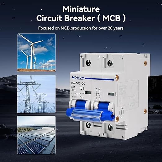 Mollom DC 2 Pole Miniature Circuit Breaker, 500V 100Amps, Scene Visualization Custom MCB Thermal Magnetic Trip, 6KA Breaking Capacity DC Disconnect Switch for Solar PV System