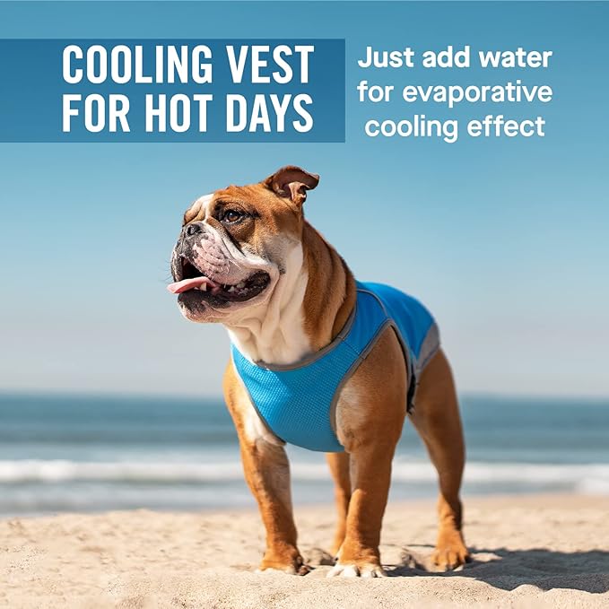 Canada Pooch Dog Cooling Vest - Evaporative Cooling Vest for Dogs with Breathable Mesh Material & Reflective Lining, Adjustable Dog Cooling Vest (32 (31-33" Back Length), Aqua)