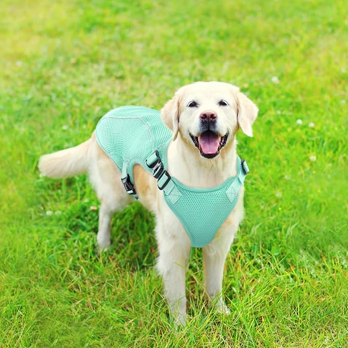 Kuoser Dog Cooling Vest for Large Dogs, Lightweight Doggie Cooler Jacket Breathable Mesh Pet Cooling Shirts Reflective Puppy Cool Harness for Beach, Hiking, Walking Green XXL