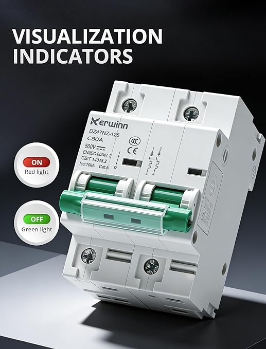 Miniature Circuit Breaker 500V DC Circuit Breaker 2Pole 125Amp din Rail Breaker DIN Rail Mount for Marine Power Systems,Solar photovoltaic Systems(C100A)