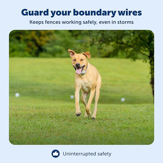 PetSafe Surge Protector for Pet Fences - Surge Protection Device - Electrical Protector - Durable Pet Fence Kit - Easy Installation - Fence Guard for Dogs - Outdoor Training Tool