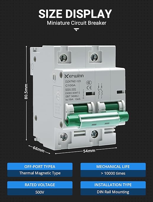 Miniature Circuit Breaker 500V DC Circuit Breaker 2Pole 125Amp din Rail Breaker DIN Rail Mount for Marine Power Systems,Solar photovoltaic Systems(C100A)