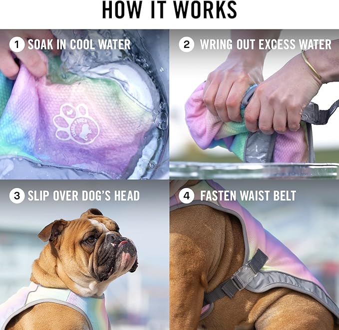 Canada Pooch Dog Cooling Vest - Evaporative Cooling Vest for Dogs with Breathable Mesh Material & Reflective Lining, Adjustable Dog Cooling Vest Great for Dogs 32 (31-33" Back Length), Rainbow