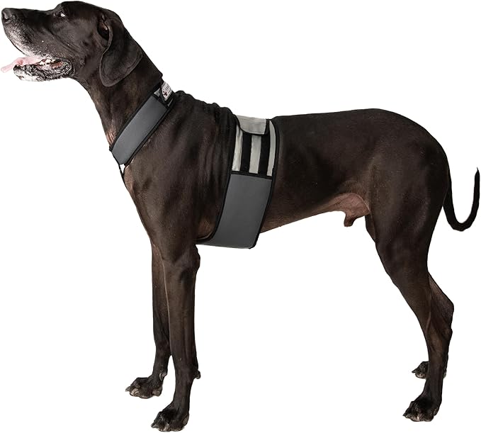 CoolerDog Dog Cooling Vest & Cooling Collar – Ice Vest for Hot Weather Heat Relief, Re-Freezable Pure Water Inserts (X-Large 34”–40” Girth)