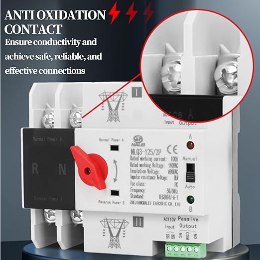 2P ATS Automatic Transfer Switch Din Rail Mounted Power Generator Changeover Switch Electrical Selector Switches AC110V 100A