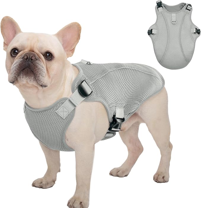 Kuoser Dog Cooling Vest, Puppy Cooling Coat,Breathable Cool Coat for Medium Dogs, Pet Jackets Reflective Summer Essentials Grey M