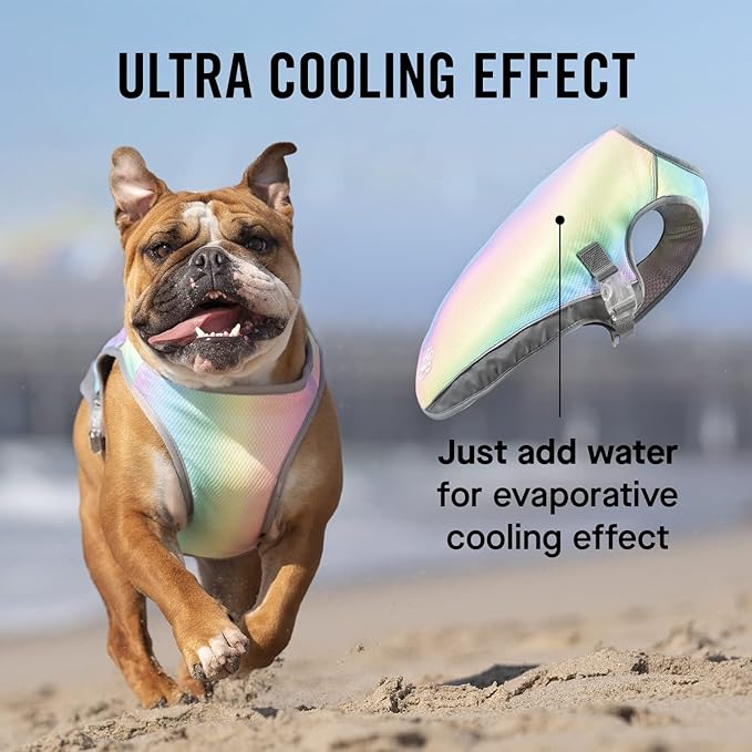 Canada Pooch Dog Cooling Vest - Evaporative Cooling Vest for Dogs with Breathable Mesh Material & Reflective Lining, Adjustable Dog Cooling Vest Great for Dogs 20 (19-21" Back Length), Rainbow