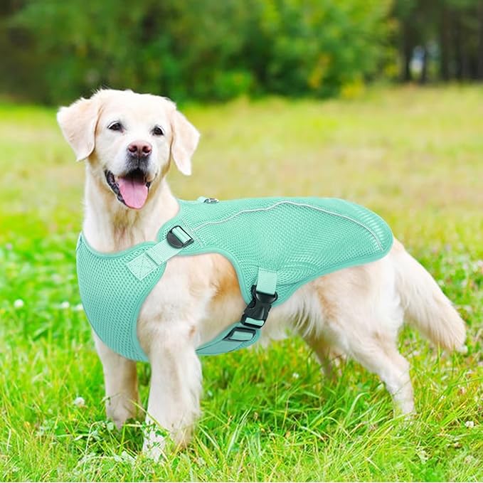 Kuoser Dog Cooling Vest, Puppy Cooling Coat,Breathable Cool Coat for Medium Dogs, Pet Jackets Reflective Summer Essentials Green M