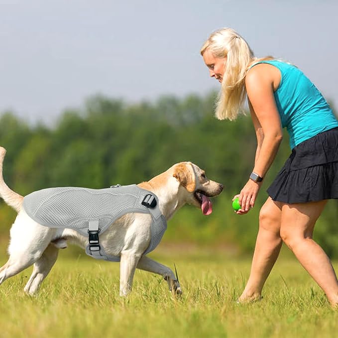 Kuoser Dog Cooling Vest, Pet Cooler Coat, Breathable Doggie Cool Jackets for Medium Dogs, Reflective Cooling Harness, Puppy Summer Essentials Grey L