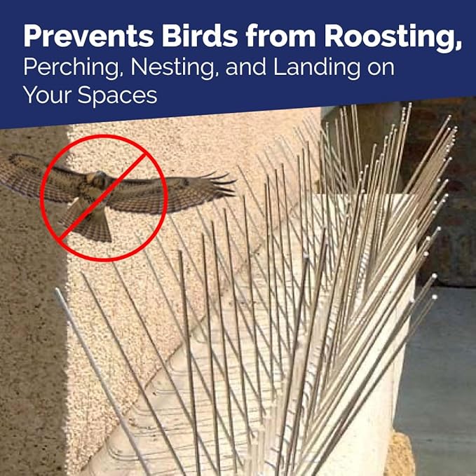 Bird-X Bird Spikes, Stainless Steel Spikes to Keep Birds Away, Easy to Install, Covers 10 Linear Feet Area, 1' L x 6" W, 10 Strips