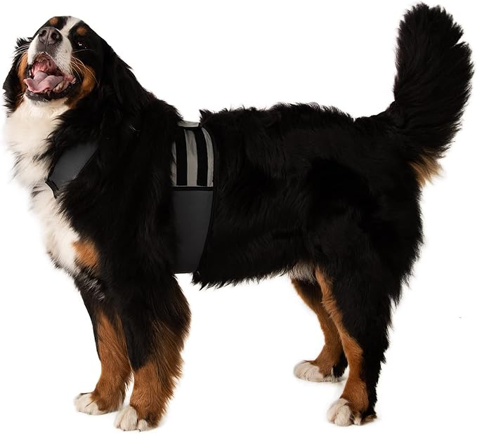 CoolerDog Dog Cooling Vest & Cooling Collar – Ice Vest for Hot Weather Heat Relief, Re-Freezable Pure Water Inserts (X-Large 34”–40” Girth)