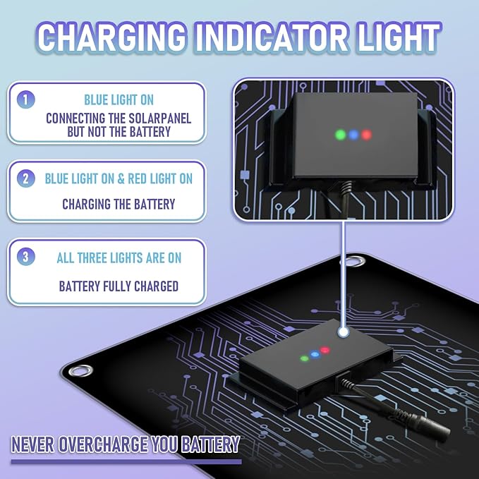 12 Volt 20W Solar Car Battery Charger & Maintainer, Solar Panel Trickle Charger, with Alligator Clip& Cigarette Lighter PlugAdapter for Car, Boat, Automotive, Motorcycle, RV