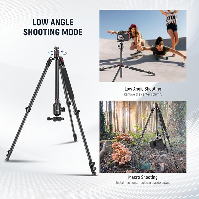 NEEWER 77" Camera Tripod Monopod with Cell Phone Holder Compatible with iPhone for Video Recording, Compact Aluminum Travel Stand with Ball Head QR Plate Bag Cleaning Cloth, Max Load 34lb, TP77