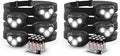 Energizer PRO-260 LED Headlamp (8-Pack), IPX4 Water Resistant Headlamps, High-Performance Head Light for Outdoors, Camping, Running, Storm, Survival LED Light for Emergencies (Batteries Included)