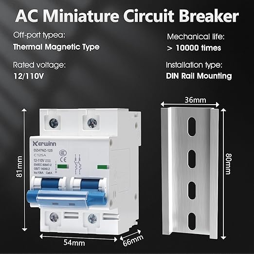 DC Miniature Circuit Breaker 12V-110V Circuit Breaker 2Pole 80Amp Smart Circuit Breaker DIN Rail Mount for Solar photovoltaic Systems