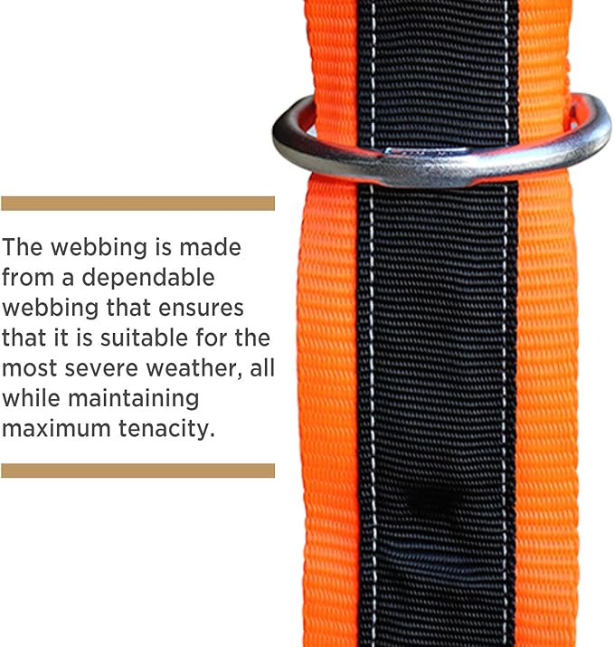 AFP 6’ Cross Arm Strap Premium Heavy-Duty Pass-Through Double Steel Ring OSHA/ANSI