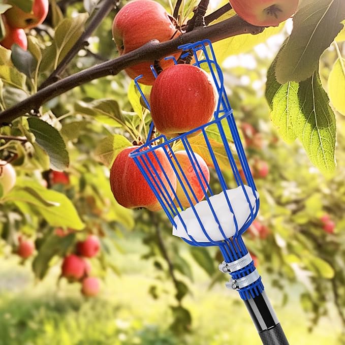 DOBEN Carbon Fiber Telescopic Fruit Picker, 12FT Extendable Pole with Picking Basket for Harvesting Apples, Oranges, Pears, Avocados on High Trees - Lightweight & Durable