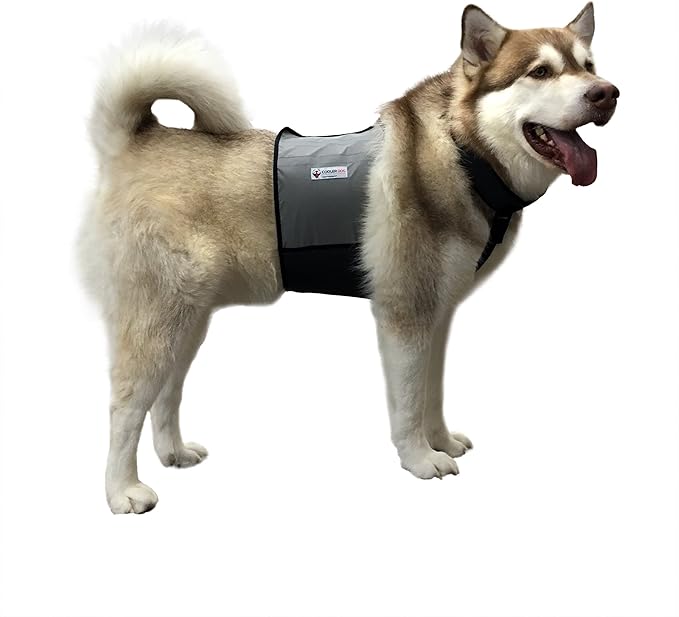 CoolerDog Dog Cooling Vest & Cooling Collar – Ice Vest for Hot Weather Heat Relief, Re-Freezable Pure Water Inserts (Large 27”–34” Girth)