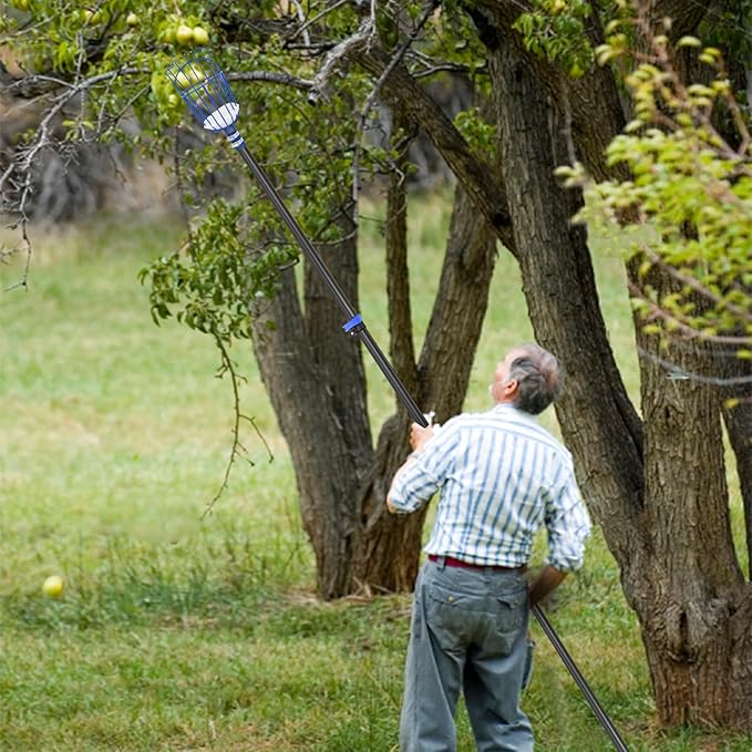 DOBEN Carbon Fiber Telescopic Fruit Picker, 12FT Extendable Pole with Picking Basket for Harvesting Apples, Oranges, Pears, Avocados on High Trees - Lightweight & Durable