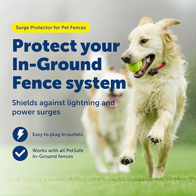 PetSafe Surge Protector for Pet Fences - Surge Protection Device - Electrical Protector - Durable Pet Fence Kit - Easy Installation - Fence Guard for Dogs - Outdoor Training Tool