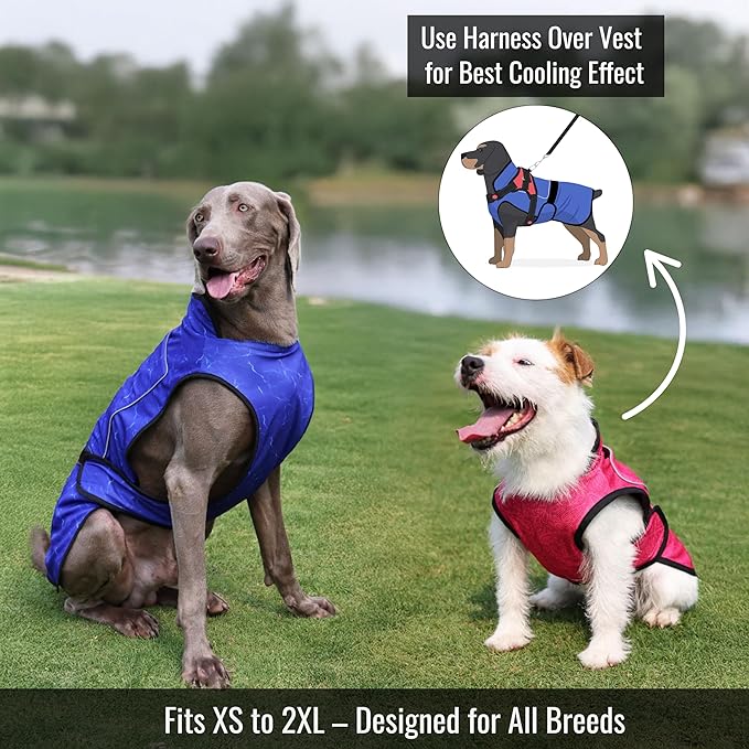 Dog Cooling Vest with Ice Pack – 2-Layer Evaporative Cooling Jacket with High Collar, UV Protection & Size-Matched Ice Pack – Cooling Vest for Dogs for Hot Weather (Blue Aqua, Large)