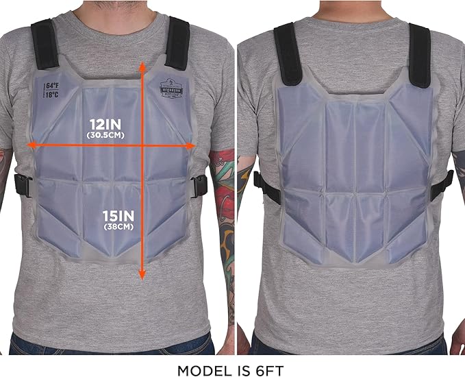 Ergodyne Chill-Its 6210 Phase Change Lightweight Cooling Ice Vest, Cooling Relief for All Environments, Cooling Towel Included