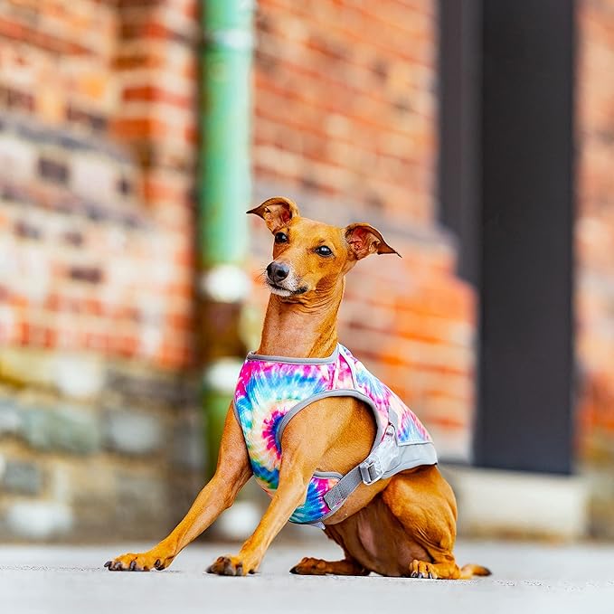 Canada Pooch Dog Cooling Vest - Evaporative Cooling Vest for Dogs with Breathable Mesh Material & Reflective Lining, Adjustable Dog Cooling Vest Great for Dogs 10 (9-11" Back Length), Tie Dye