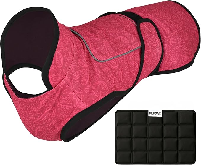 Dog Cooling Vest with Ice Pack – 2-Layer Evaporative Cooling Jacket with High Collar, UV Protection & Size-Matched Ice Pack – Cooling Vest for Dogs for Hot Weather (Pink Floral, XX-Large)
