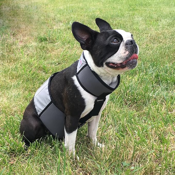 CoolerDog Dog Cooling Vest & Cooling Collar – Ice Vest for Hot Weather Heat Relief, Re-Freezable Pure Water Inserts (Small 18”–22” Girth)