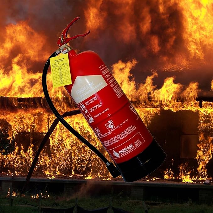 Monthly Fire Extinguisher Inspection Tags Record 4-Year Maintenance Tags Fire Recharge and Inspection Record Tag for Indoor Outdoor Extinguishers(50 Pieces)