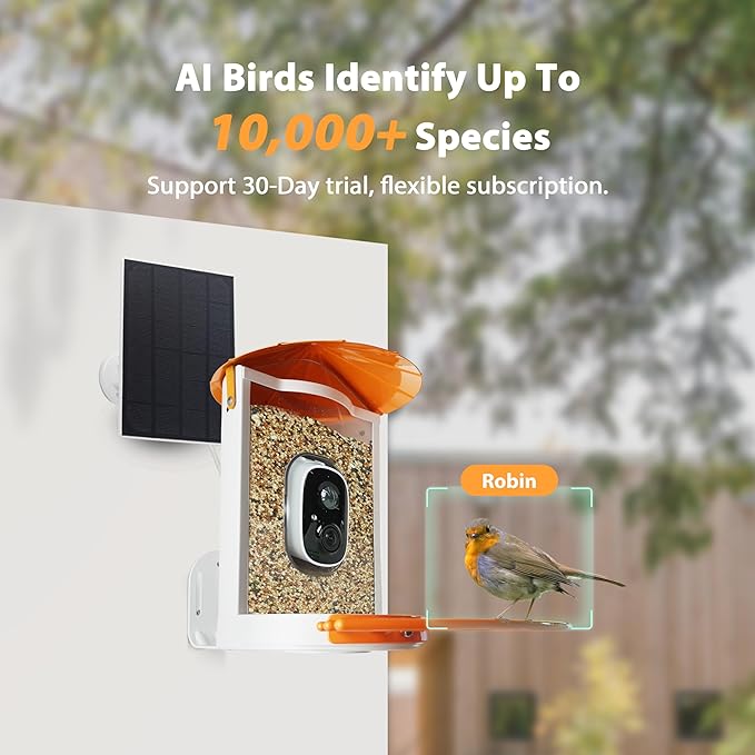 Birdkiss Smart Bird Feeder with Camera Solar, Auto Capture Bird Videos & Motion Detection, Birds Watching Camera Notify in Time, Metal Birds Feeder with Seed Guard, Ideal Present for Mom (Orange)