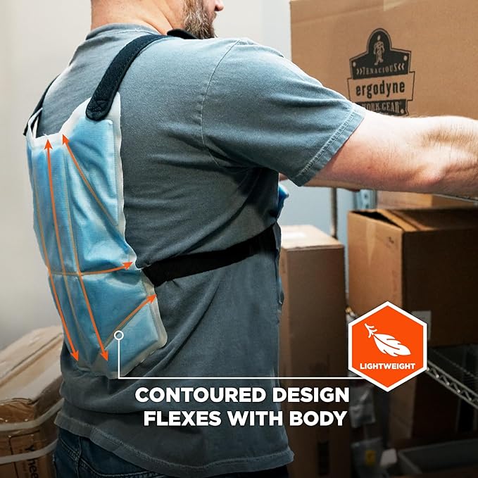 Ergodyne Chill-Its 6210 Phase Change Lightweight Cooling Ice Vest, Cooling Relief for All Environments, Cooling Towel Included
