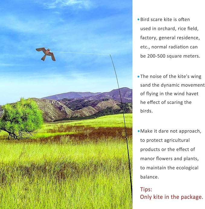 eyijklzo Bird Scarer Flying Kite Crops Farm Flying Bird Hawk Flying Kite, Only Red Kite