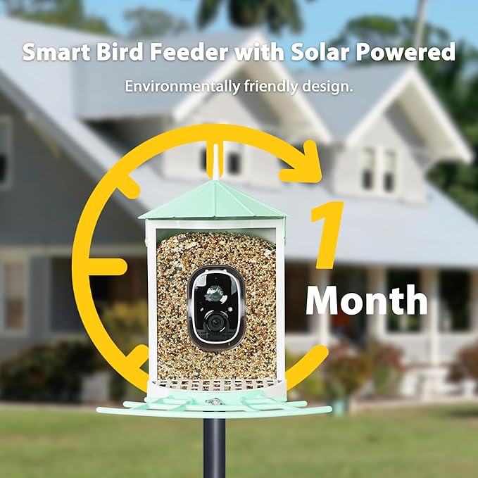 Birdkiss Smart Bird Feeder with Camera Solar, Auto Capture Bird Videos & Motion Detection, Birds Watching Camera Notify in Time, Metal Birds Feeder with Seed Guard, Ideal Present for Mom (Green)
