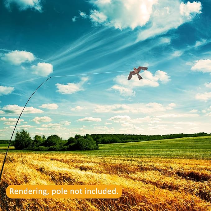 eyijklzo Bird Scarer Flying Kite Crops Farm Flying Bird Hawk Flying Kite, Only Red Kite