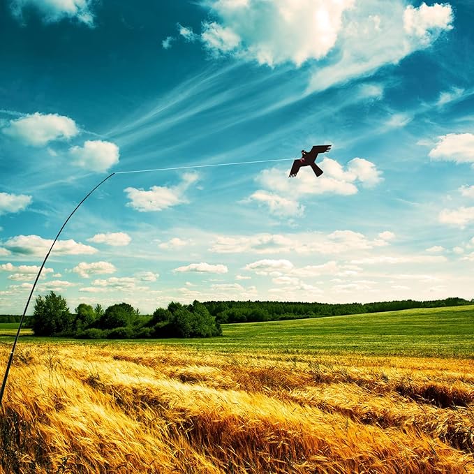 eyijklzo Bird Scarer Flying Kite Crops Farm Flying Bird Hawk Flying Kite with 4m Telescopic Pole, Black