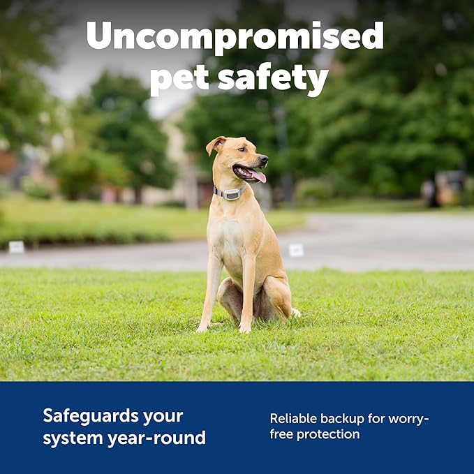 PetSafe Surge Protector for Pet Fences - Surge Protection Device - Electrical Protector - Durable Pet Fence Kit - Easy Installation - Fence Guard for Dogs - Outdoor Training Tool