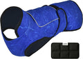 Dog Cooling Vest with Ice Pack – 2-Layer Evaporative Cooling Jacket with High Collar, UV Protection & Size-Matched Ice Pack – Cooling Vest for Dogs for Hot Weather (Blue Aqua, Medium)