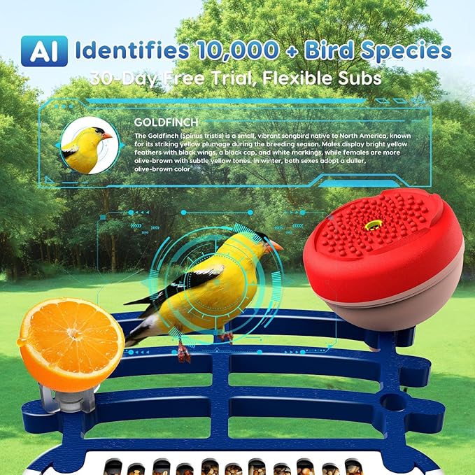 Smart Bird Feeder with Camera,2.5K HD Bird Watching Camera with AI Identify,Auto Capture Videos & Detection,Solar Powered Wireless Birdhouse for Outdoors,Ideal Gift for Family