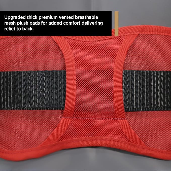 AFP Heavy-Duty 2 D-Ring Waist Body Belt w/Tongue Buckle Premium Stitching (OSHA/ANSI PPE)