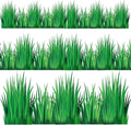 48 Pcs Green Grass Stickers 3 Sizes Grass Wall Decal Green Bulletin Board Border Spring Shape Die Cutouts for Vbs Boho Camping Trim Greenery Plant Leaves Office Decor with Adhesive Dots